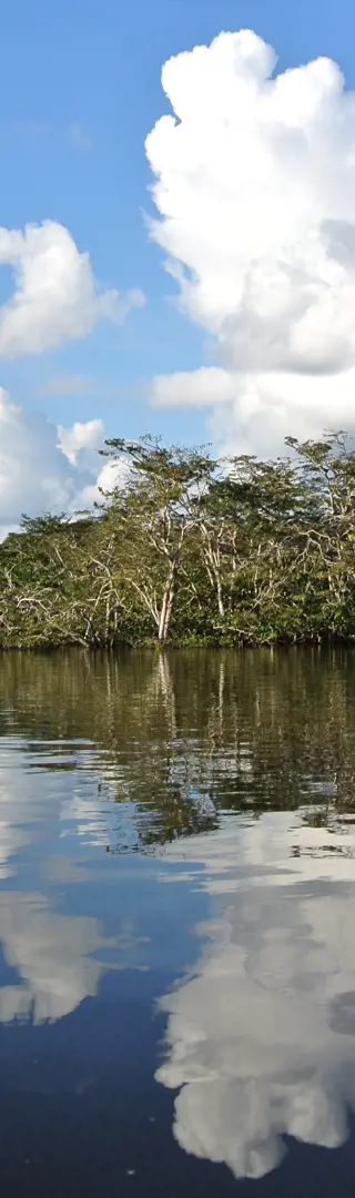 Laguna Grande - Guyabeno